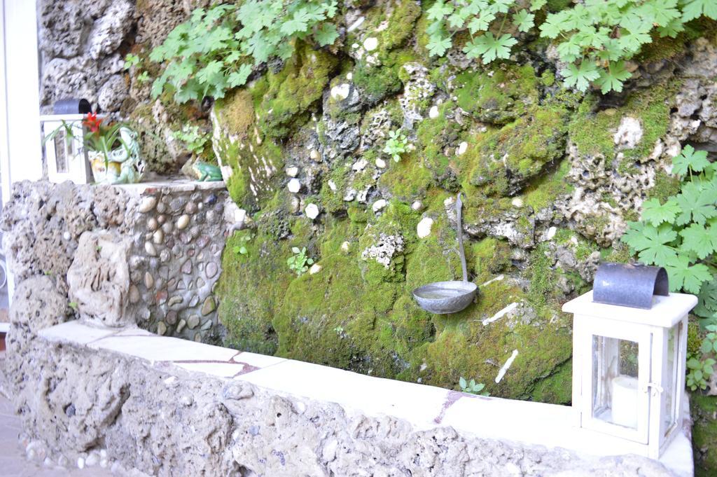 Family Hotel Sofi ソゾポル エクステリア 写真