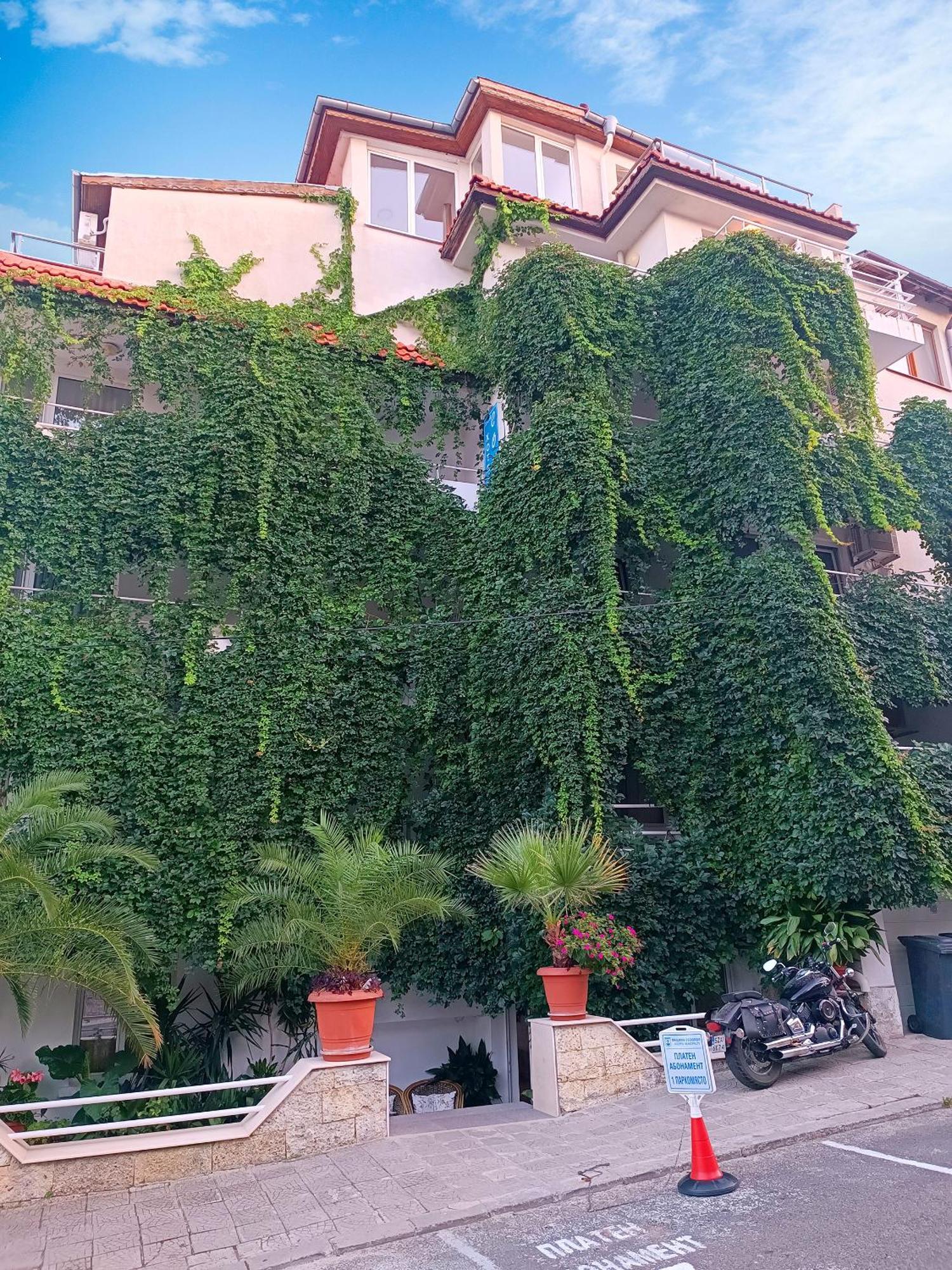 Family Hotel Sofi ソゾポル エクステリア 写真